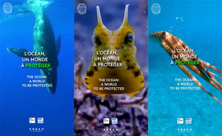 visuels de la campagne de sensibilisation à la protection de l'océan