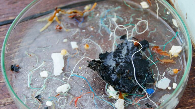 Pollution plastique océan