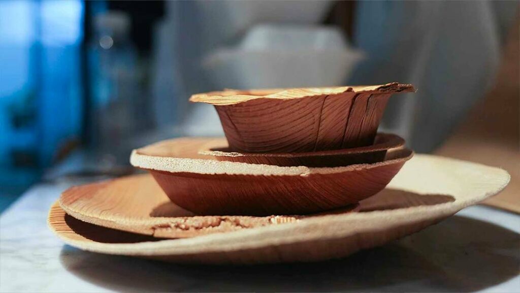 Assiettes feuilles de palmier