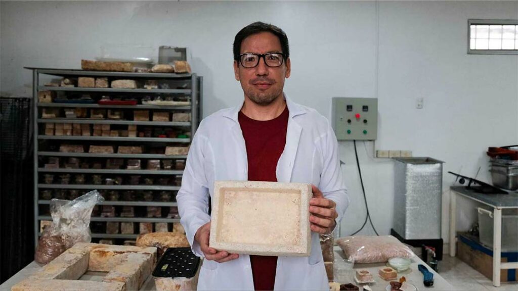 Emballage de protection fabriqué à partir de champignon