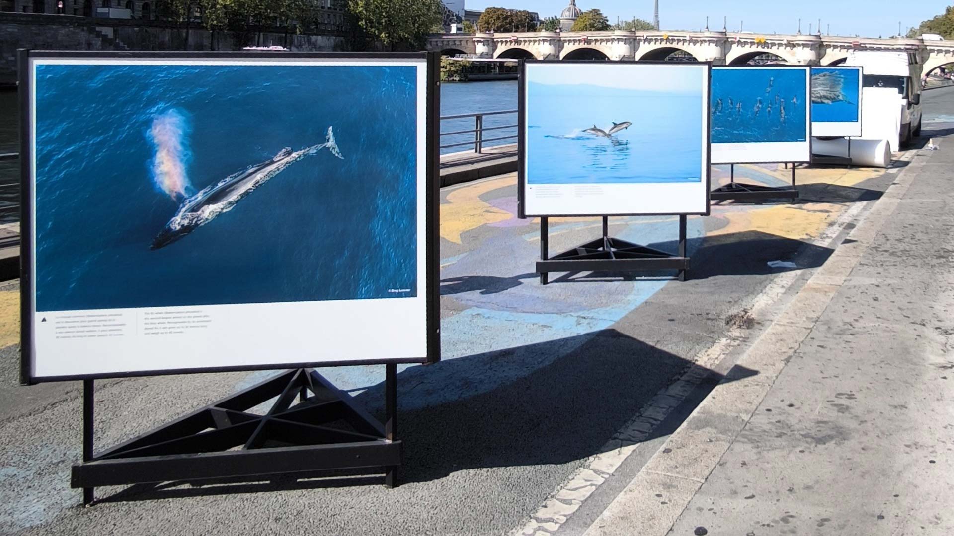 exposition photos Vitesses Bleues sur les quais de Seine